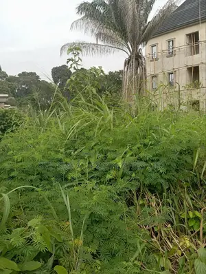 LAND for Sale at Nawfia