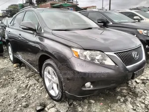 Lexus RX 350 2010 Gray