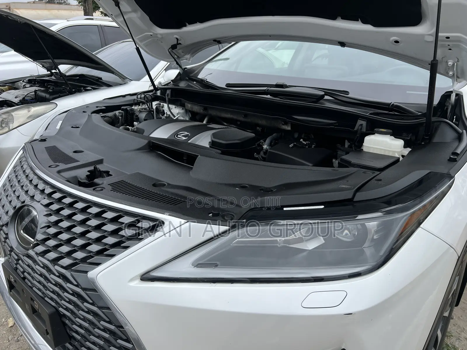 Lexus RX 2022 White