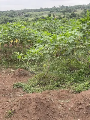 50 Acres of Farmland Off Iseyin to Ogbomoso Road