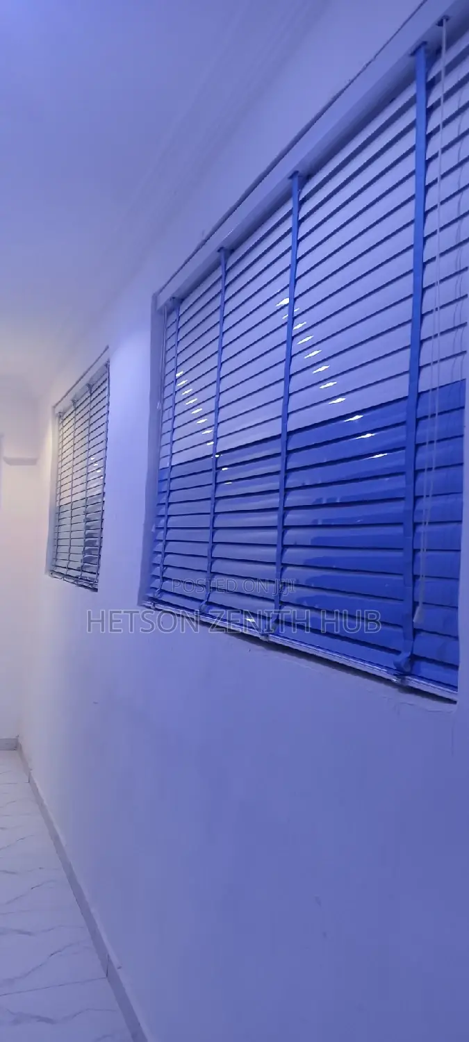 Beautiful Window Blinds