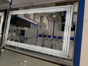 Mirror With 1 Light