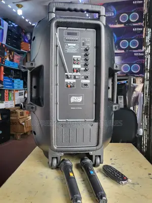 Quality 15” Public Address System