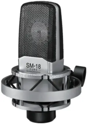 Original Takstar SM-18 EL Condenser Studio Microphone