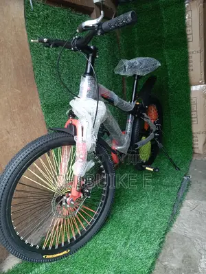 Size 22 Bicycle