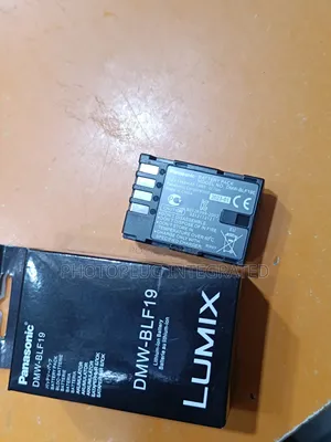 DMW-BLF19 Battery