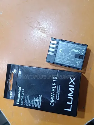 DMW-BLF19 Battery