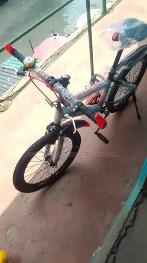 Special Size 20 Bike