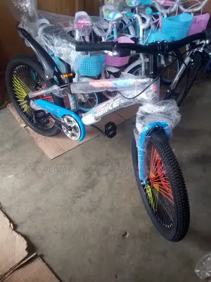 Special Size 22 Bike