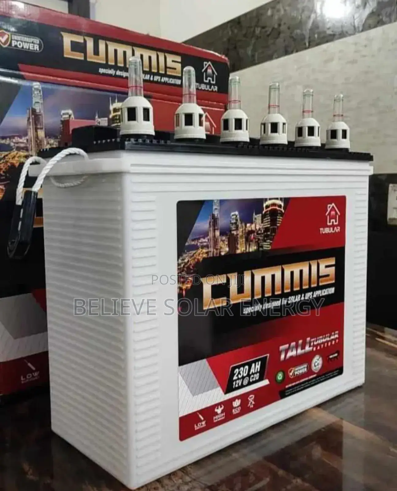 Cummis Tall Tubular Battery