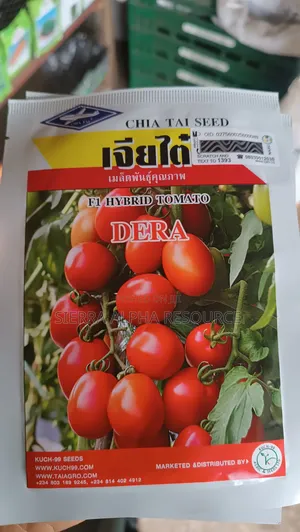 Tomato Seeds