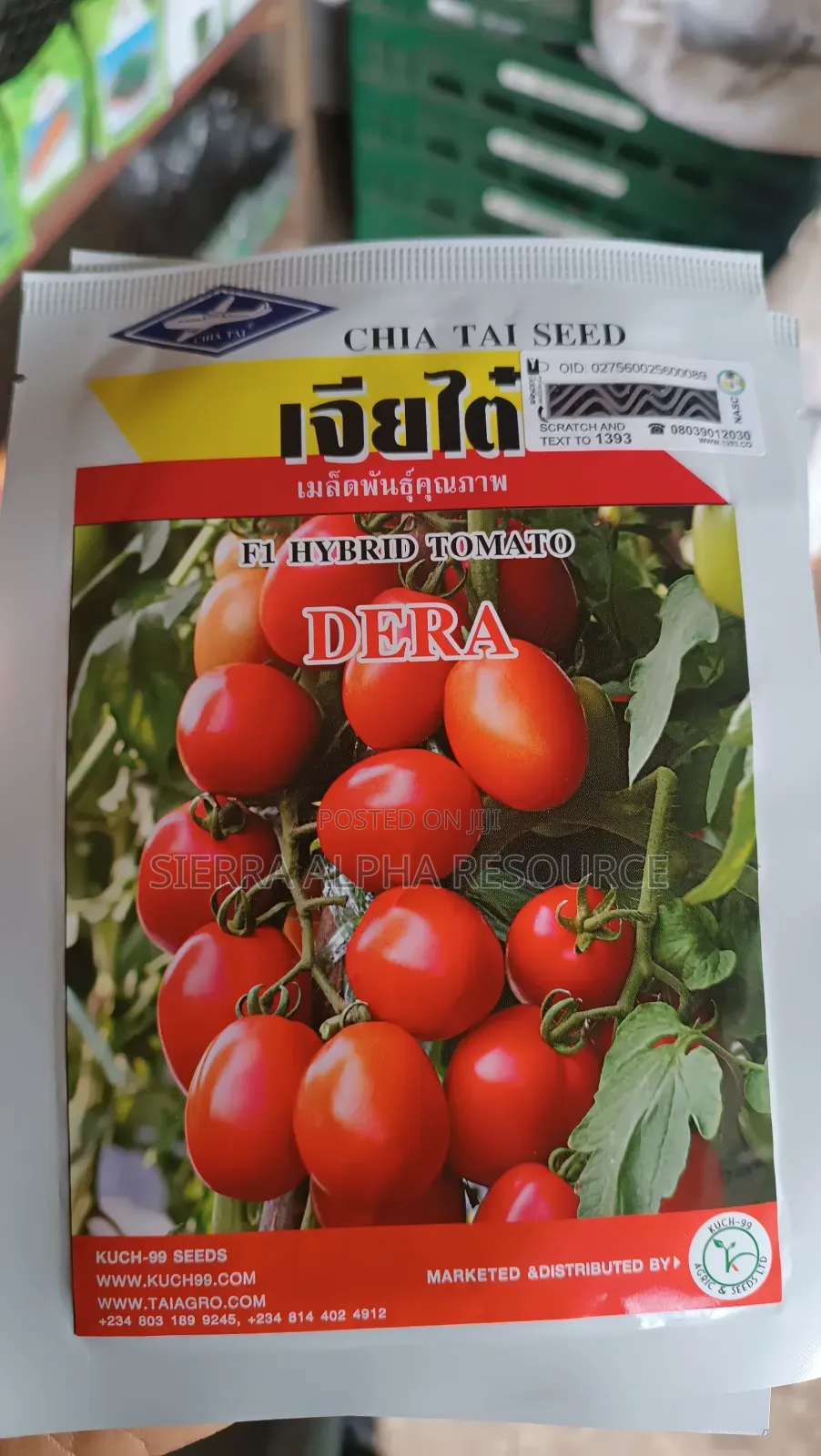Tomato Seeds