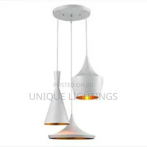 3 in 1 Pendant Light