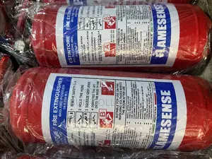 6kg ABC Powder Fire Extinguisher