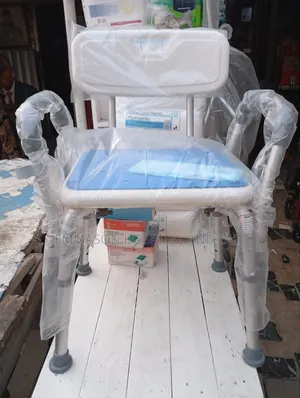Executive Bathing Seat With Back Rest and Hand Rest