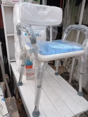 Executive Bathing Seat With Back Rest and Hand Rest