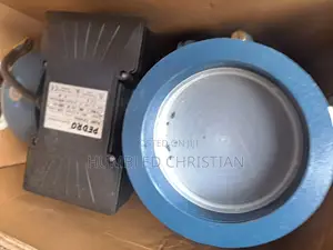 4hp Pedro Surface Pump