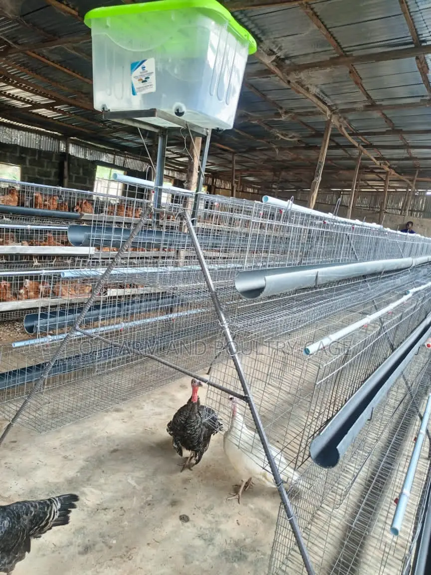 Poultry Cage