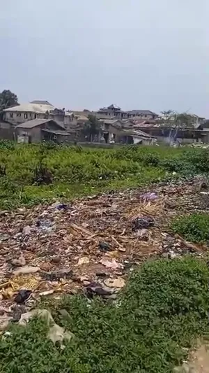 A Full Plot of Land