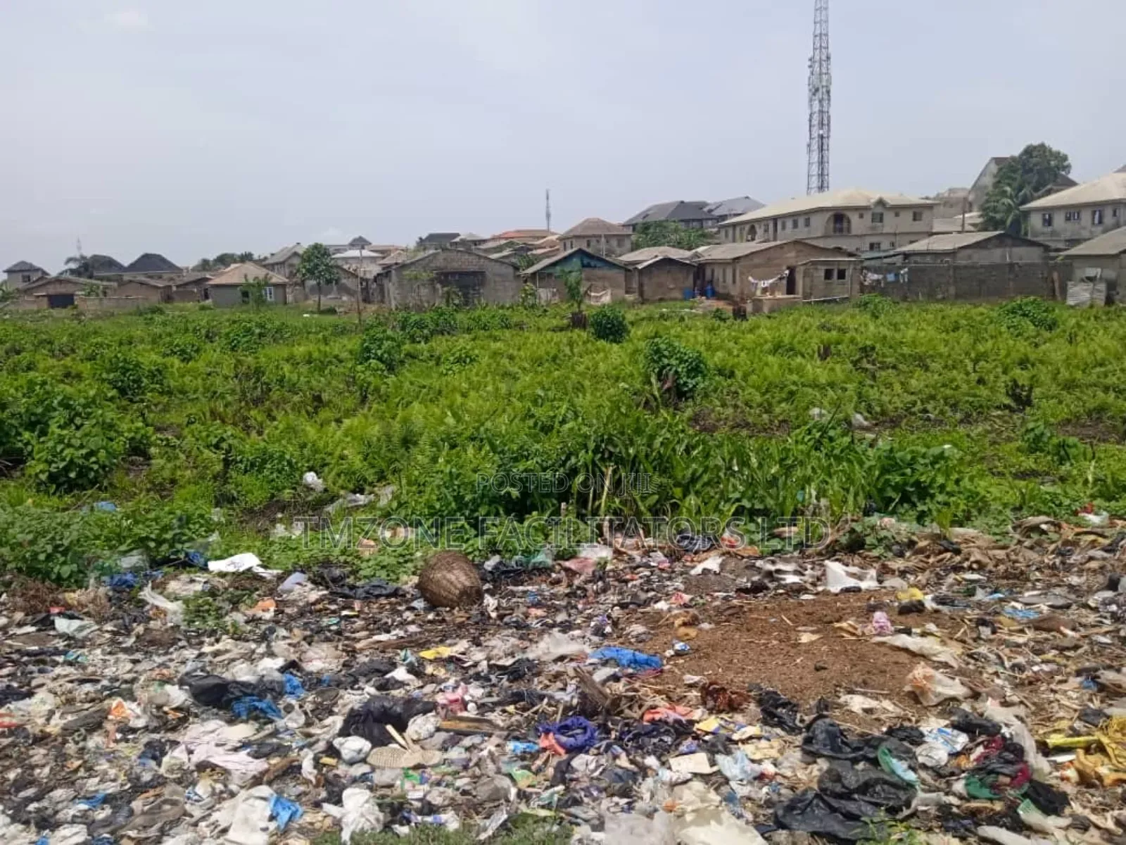 A Full Plot of Land