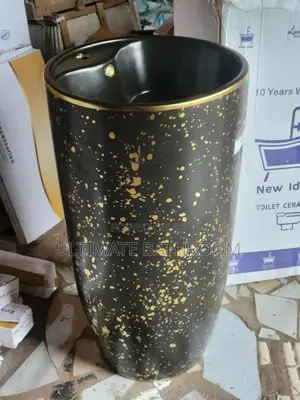 Black With Golden Design Standing Basin