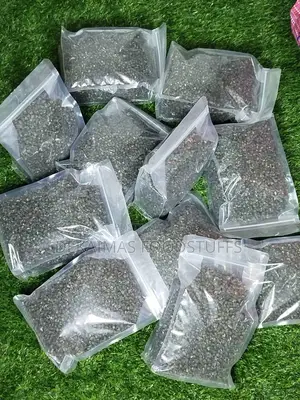 Periwinkle Dried