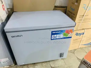 Skyrun 260l Deep Freezer Available for Sale