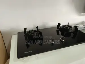 Very Much Affordable 2 Inbuilt Gas Burner