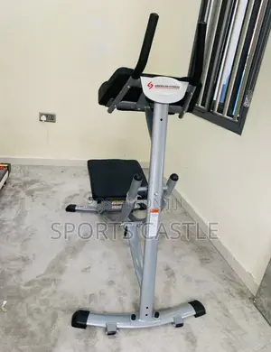 Commercial Ab Coaster