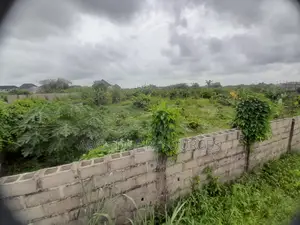 Dry Bareland
