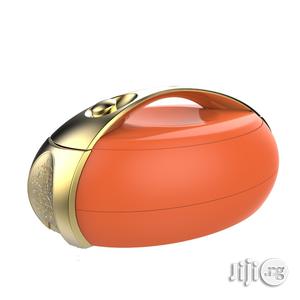 Plastic Portable Insulated Food Thermos Casserole With Lid 6,5 And 4L