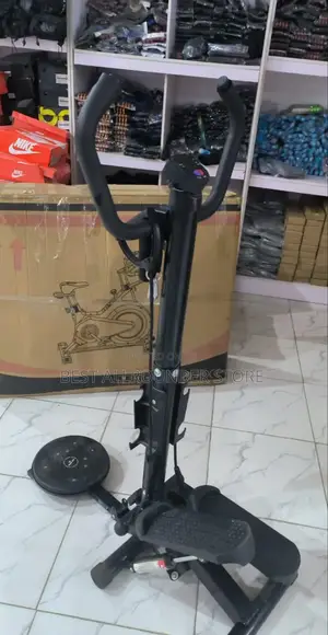 Standing Stepper With Twister and Rope