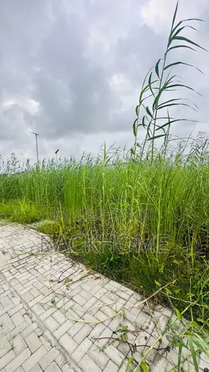 Photo - 500sqm In A Developing Gated Residential Estate