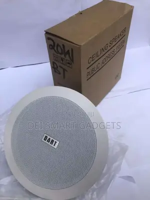 Dart Ceiling Speaker(20w)
