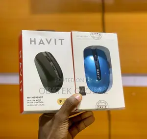 HAVIT Wireless Mouse for Laptop and Desktop Computers