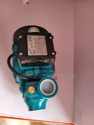 0.5hp Leo Water Pump