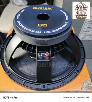 Photo - Original 12 Inches Professional Glorik Naked Speaker