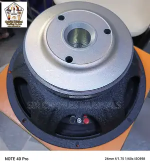 Original 15 Inches Profesion Glorik Naked Speaker Big Magnet