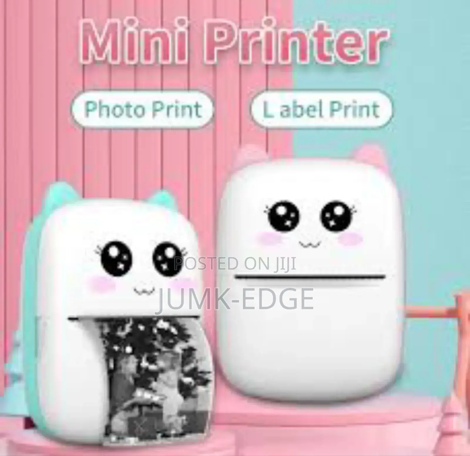 Mini Printer With Accessories
