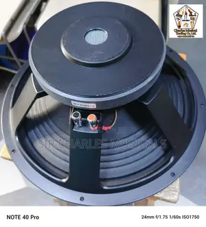 Original 15 Inches Glorik Bass Naked Speaker Big Magnet