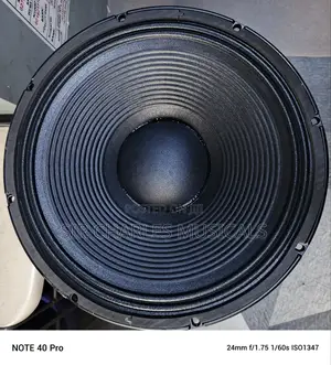 Original 15 Inches Glorik Bass Naked Speaker Big Magnet