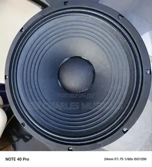 Original 15 Inches Professional Glorik Bass Naked Speaker