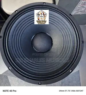 Original 15 Inches Professional Glorik Bass Naked Speaker