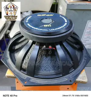 Original 18 Inches Professio Glorik Naked Speaker Big Magnet