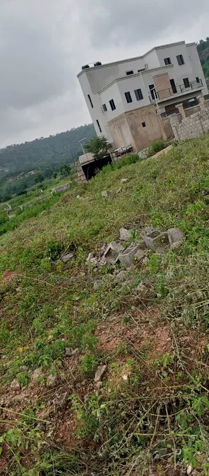 Photo - R Of O Document