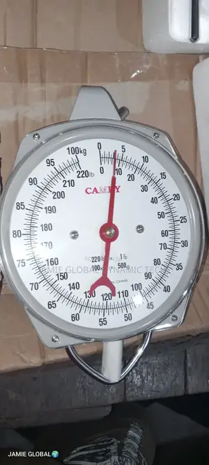 100kg Analog Hanging Scale