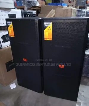 Professional Accoustic Double 15" Speaker