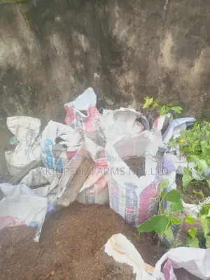 Urban Farming/Sac Farming.