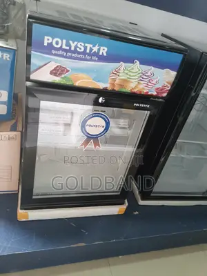Best Affordable Polystar Upright Showcase Chiller Pv-255bcll