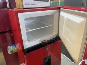 305 Litres Hisense Double Door Refrigerator